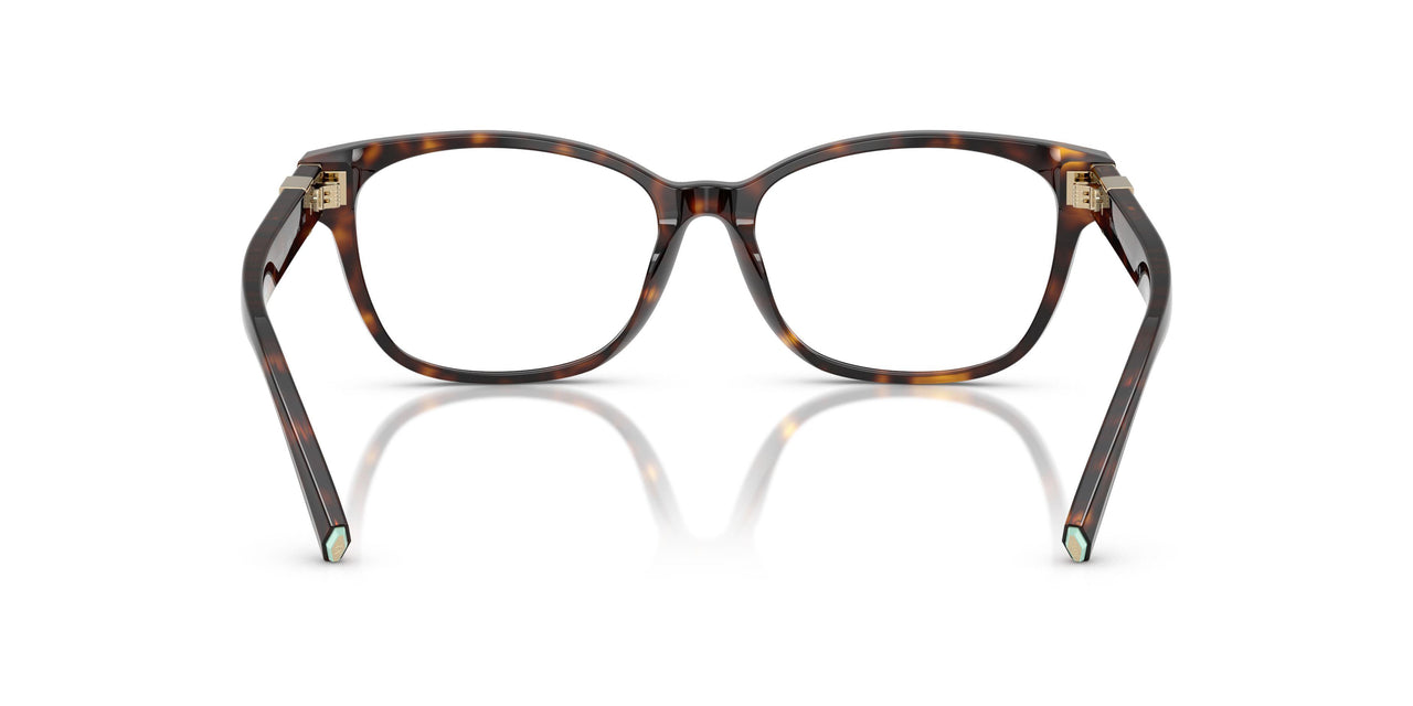 8015 - Tortoise
