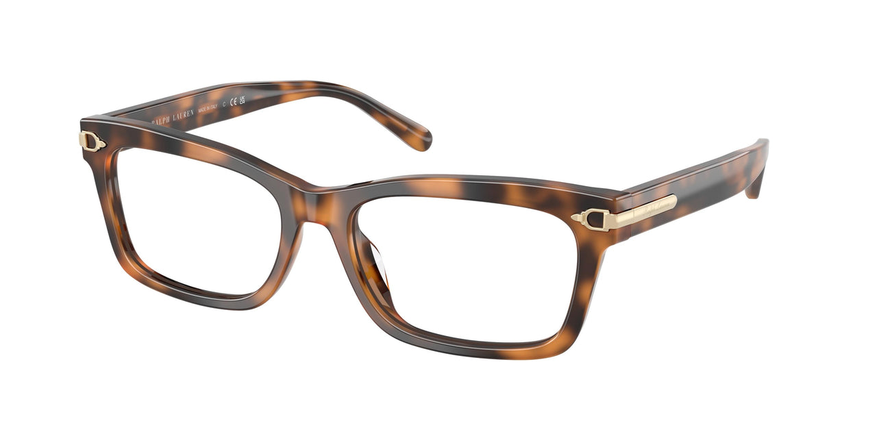 6089 - Tortoise