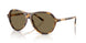 Ralph Lauren 8247U Sunglasses