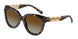 8015T5 - Tortoise - Polar Brown Gradient