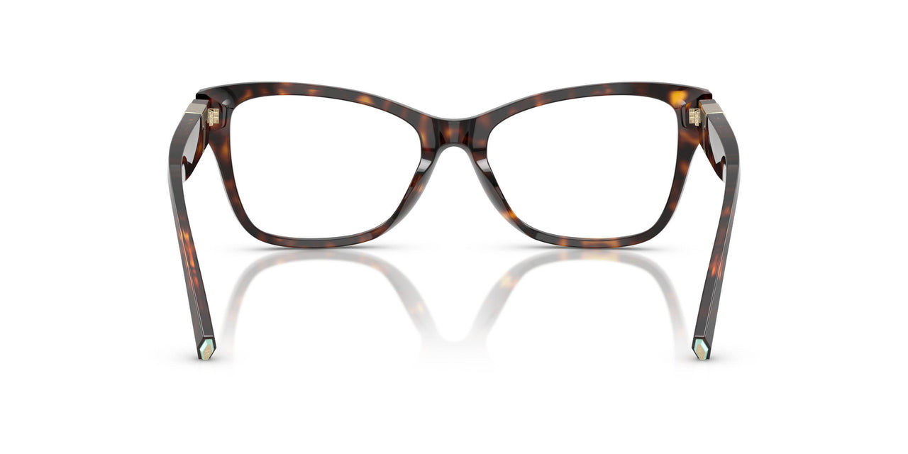 8015 - Tortoise