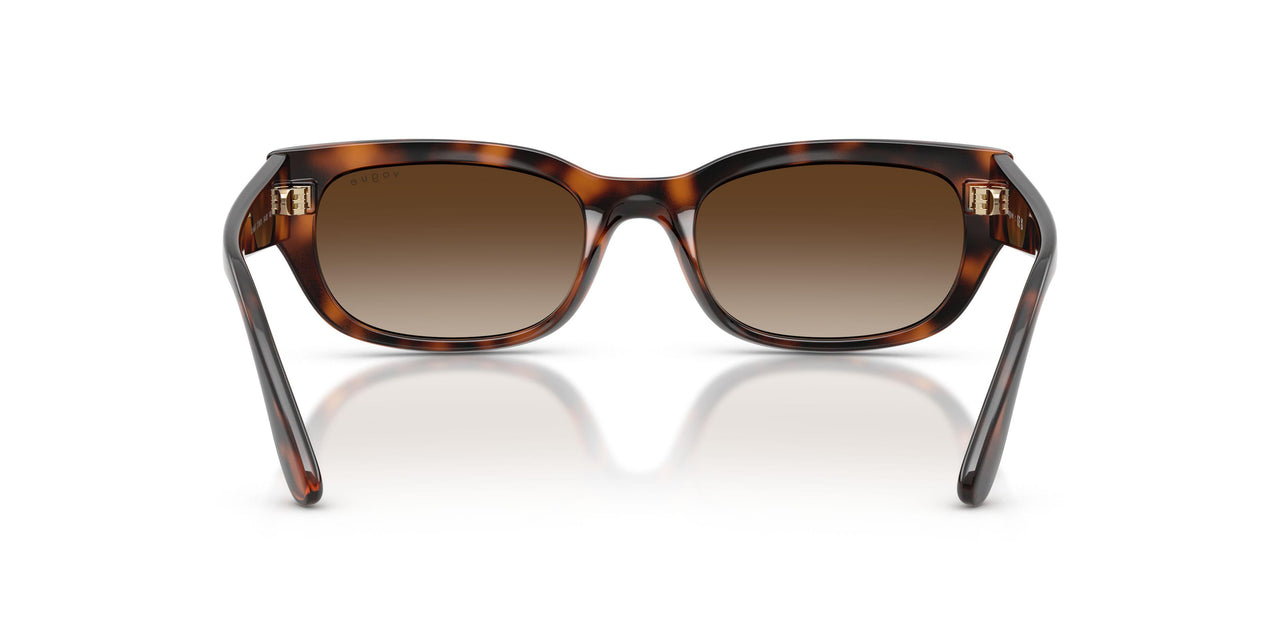 271813 - Brown - Gradient Brown