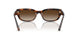 271813 - Brown - Gradient Brown