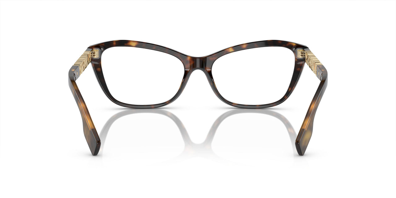 3002 - Brown