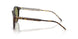 587914 - Tortoise - Green