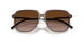 301813 - Brown - Gradient Brown