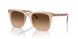 574774 - White - Brown Gradient