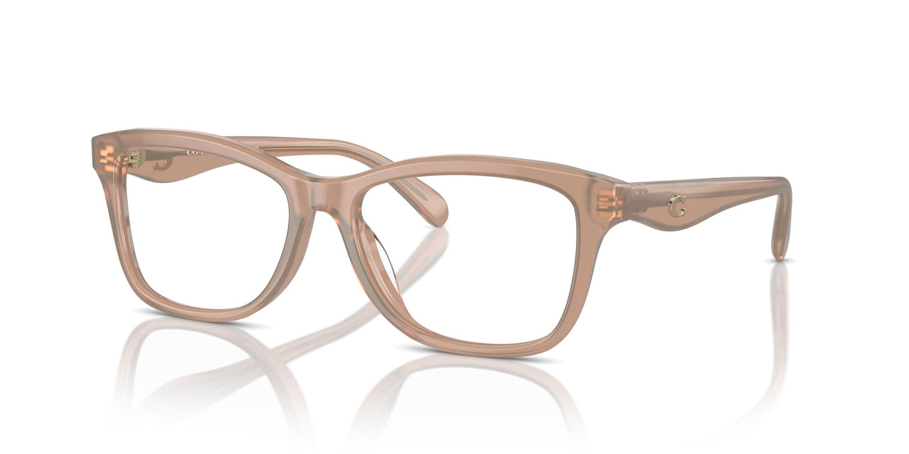 5808 - Brown