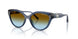 30025D - Blue - Brown Blue Gradient