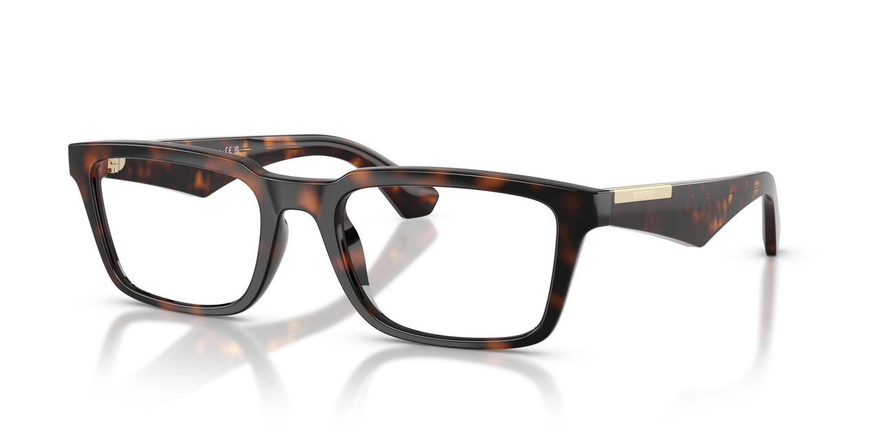 3002 - Brown