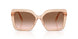106313 - Brown - Brown Gradient