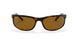 650833 - Havana - B-15 Brown