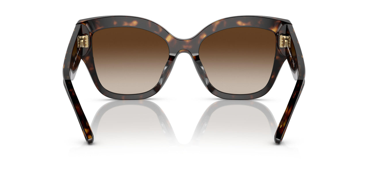 172813 - Havana - Brown Gradient