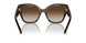 172813 - Havana - Brown Gradient