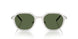 301571 - Silver - Dark Green
