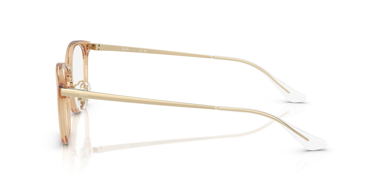 8473 - Brown - Clear
