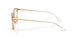 8473 - Brown - Clear