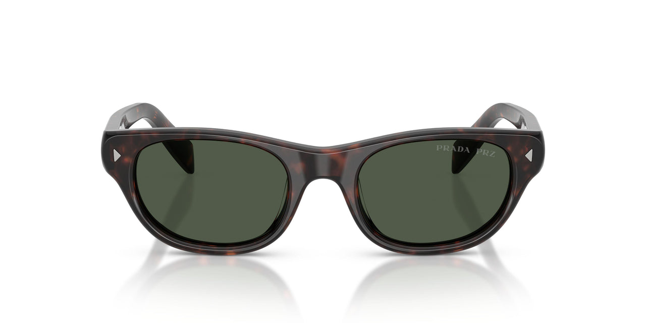 17N90V - Tortoise - Dark Grey Polarized
