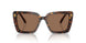 100273 - Tortoise - Dark Brown