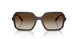 238613 - Brown - Brown Gradient