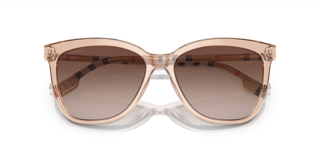 400613 - Pink - Brown Gradient