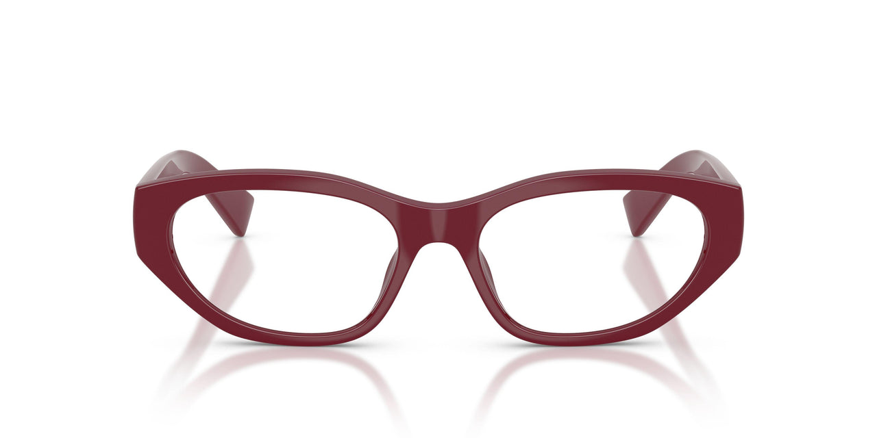 25R1O1 - Red