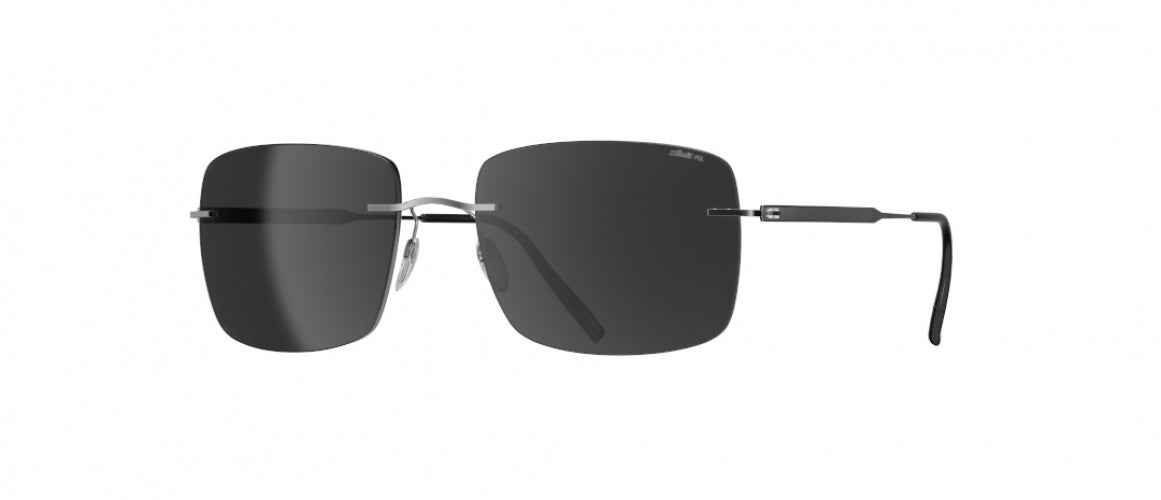 6560 - Ruthenium Black - SLM POL Grey