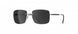6560 - Ruthenium Black - SLM POL Grey