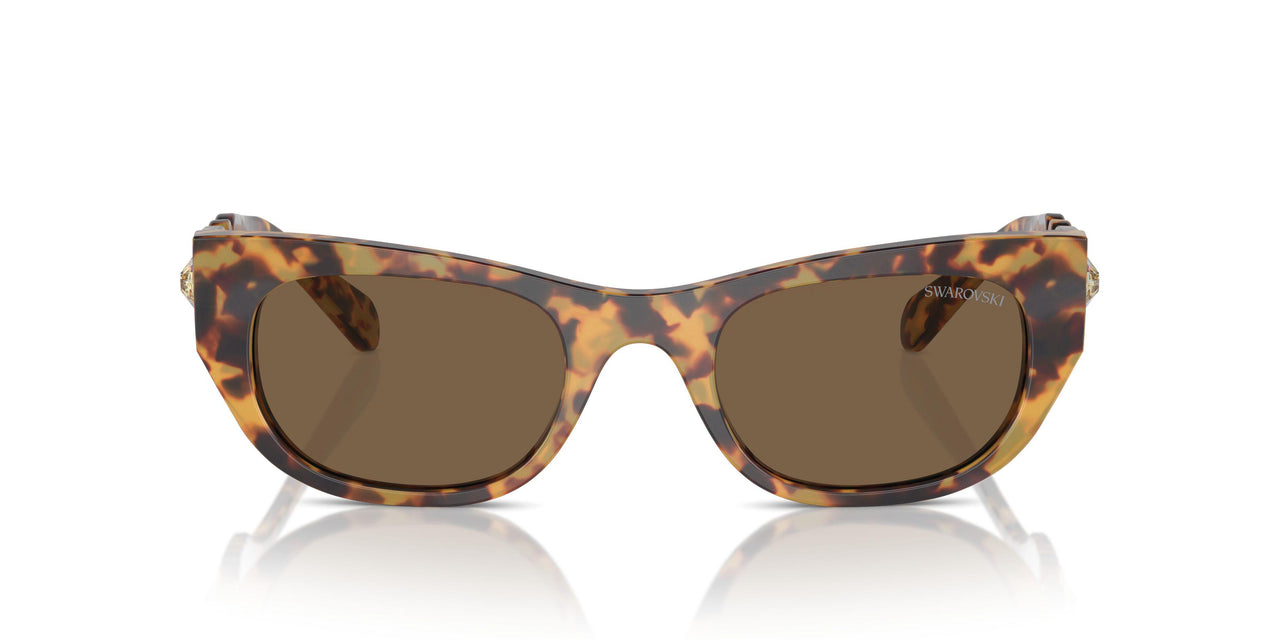 104073 - Tortoise - Dark Brown