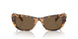 104073 - Tortoise - Dark Brown