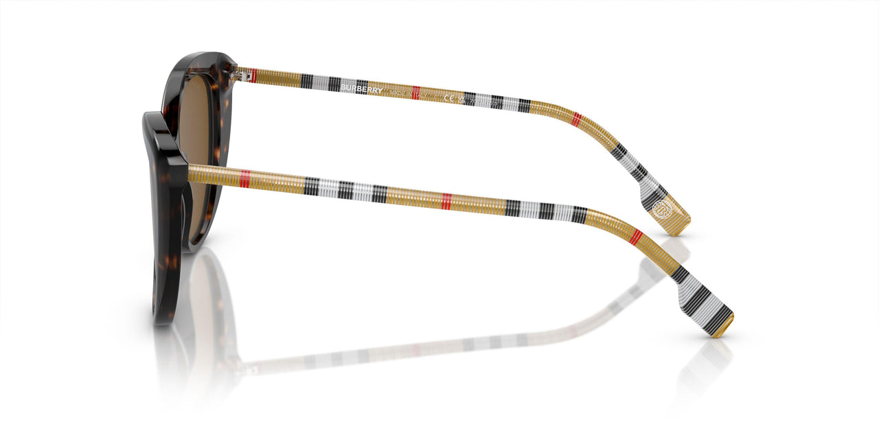 385483 - Brown - Brown Polar