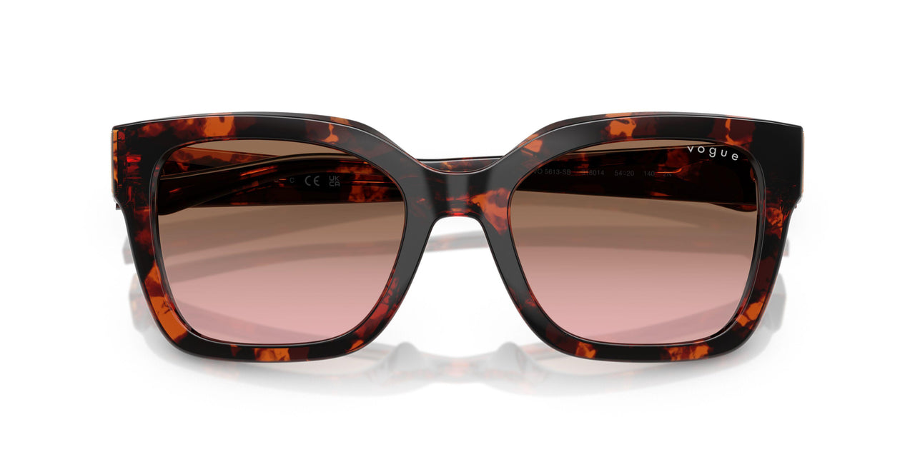 318014 - Tortoise - Pink Gradient Brown