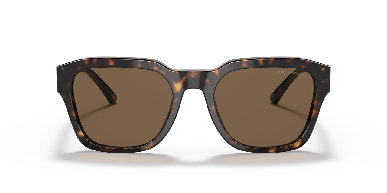 587973 - Havana - Dark Brown