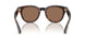 300273 - Brown - Dark Brown