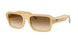 680651 - Brown - Clear Gradient Brown