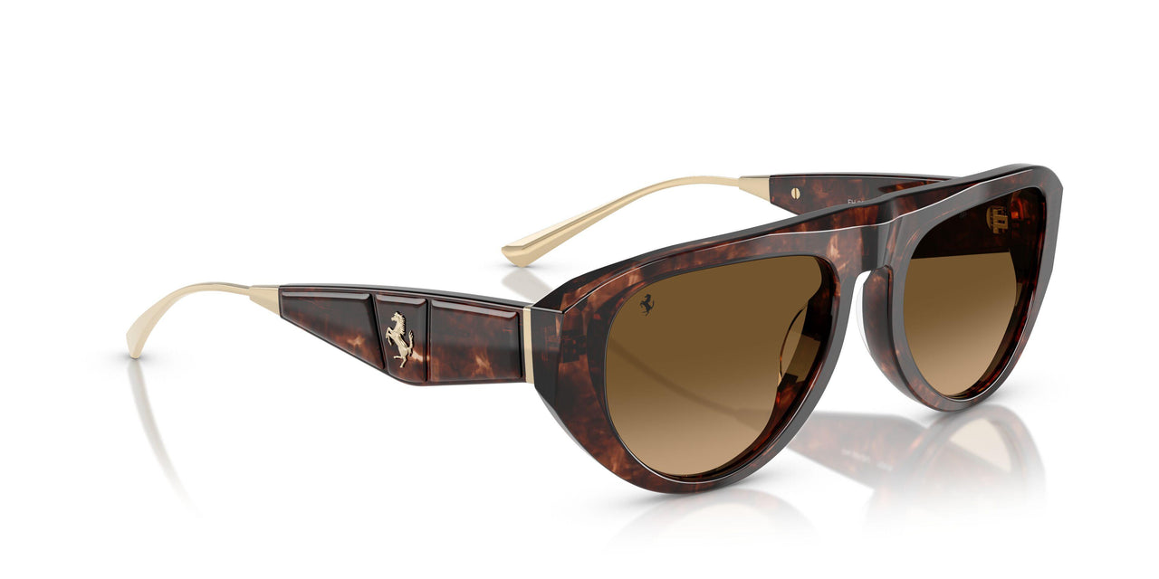 725/M2 - Brown - Gradient Brown Polar