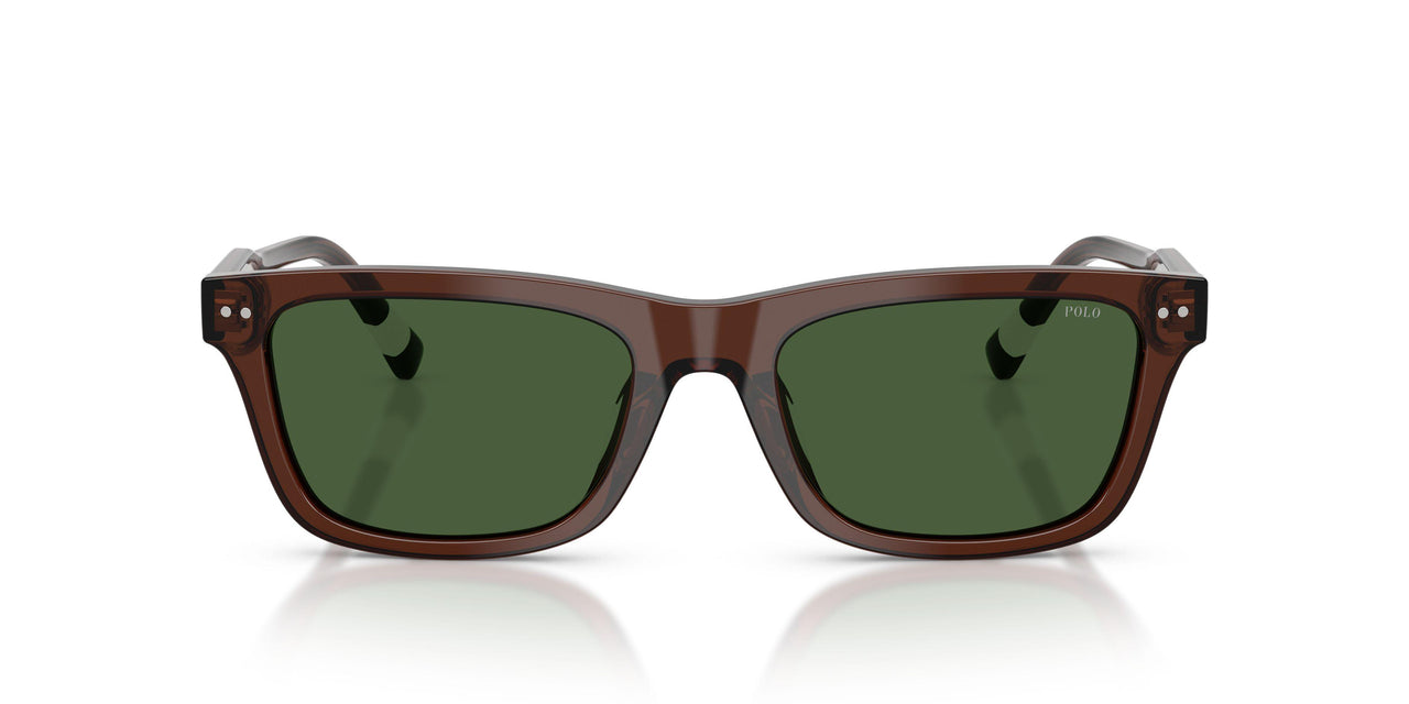 631571 - Brown - Dark Green