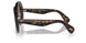100913 - Tortoise - Mink Gradient