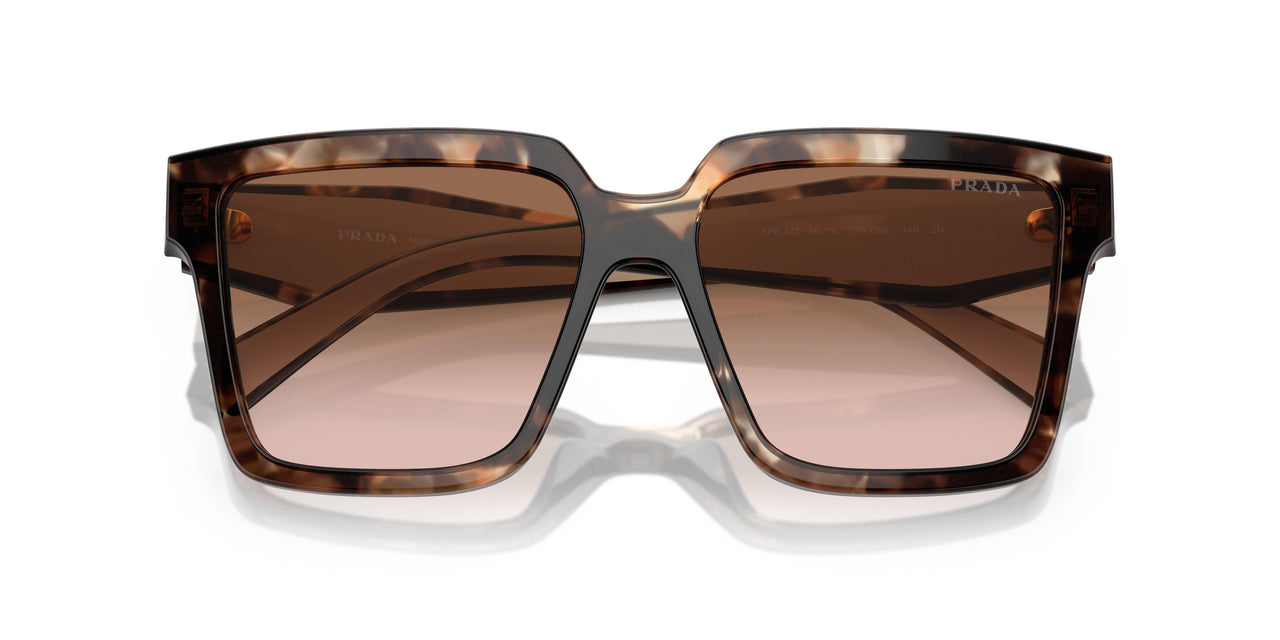 07R0A6 - Tortoise - Brown Gradient