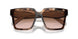 07R0A6 - Tortoise - Brown Gradient