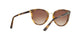 W65613 - Brown Gradient