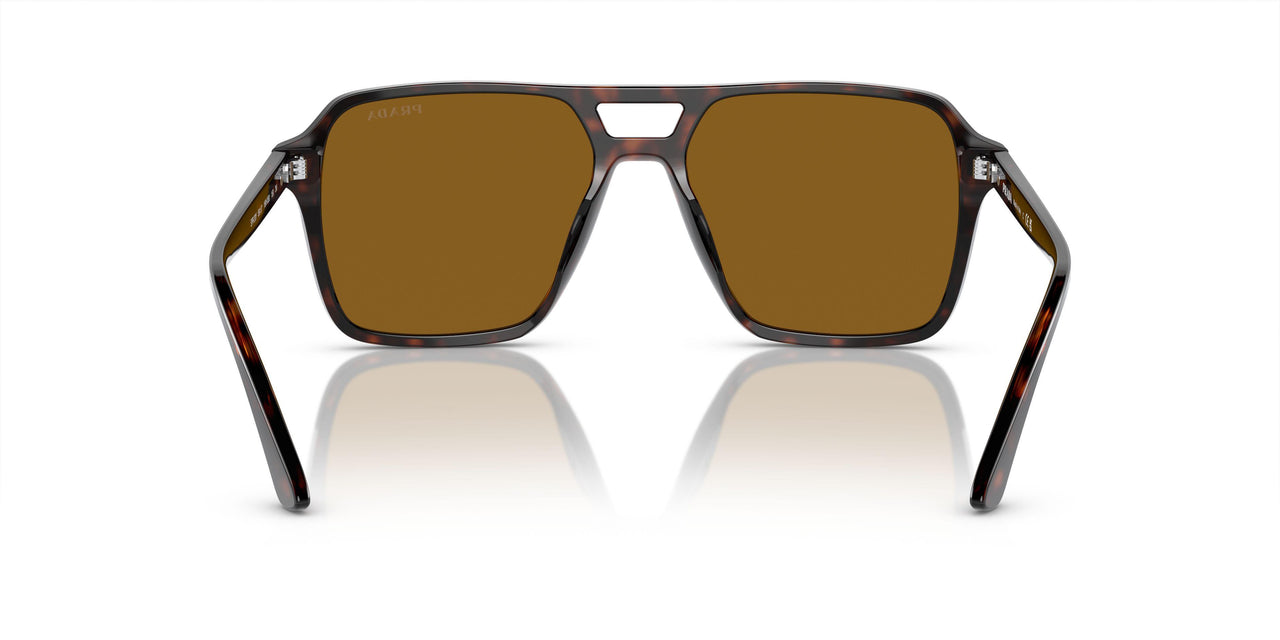 16N0B0 - Tortoise - Brown
