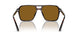 16N0B0 - Tortoise - Brown