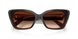 108474 - Brown - Brown Gradient
