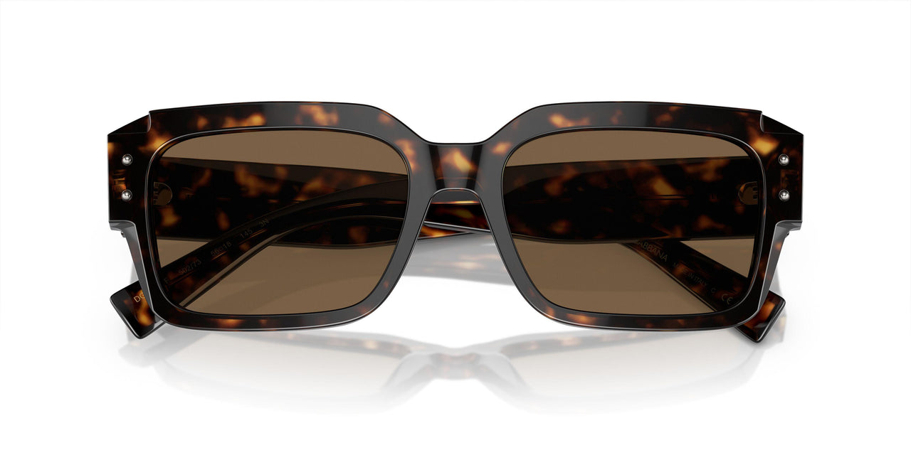 502/73 - Tortoise - Dark Brown