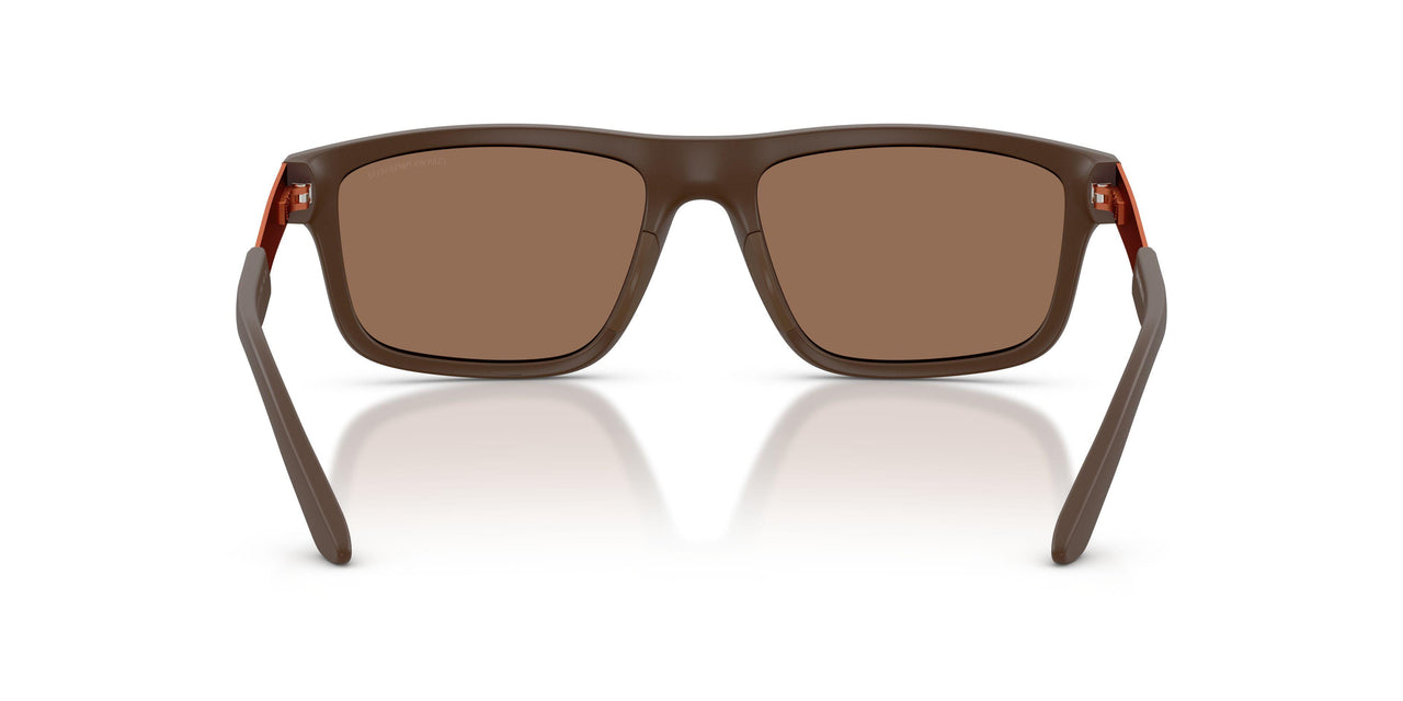 624373 - Brown - Dark Brown