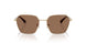 611013 - Gold - Dark Brown