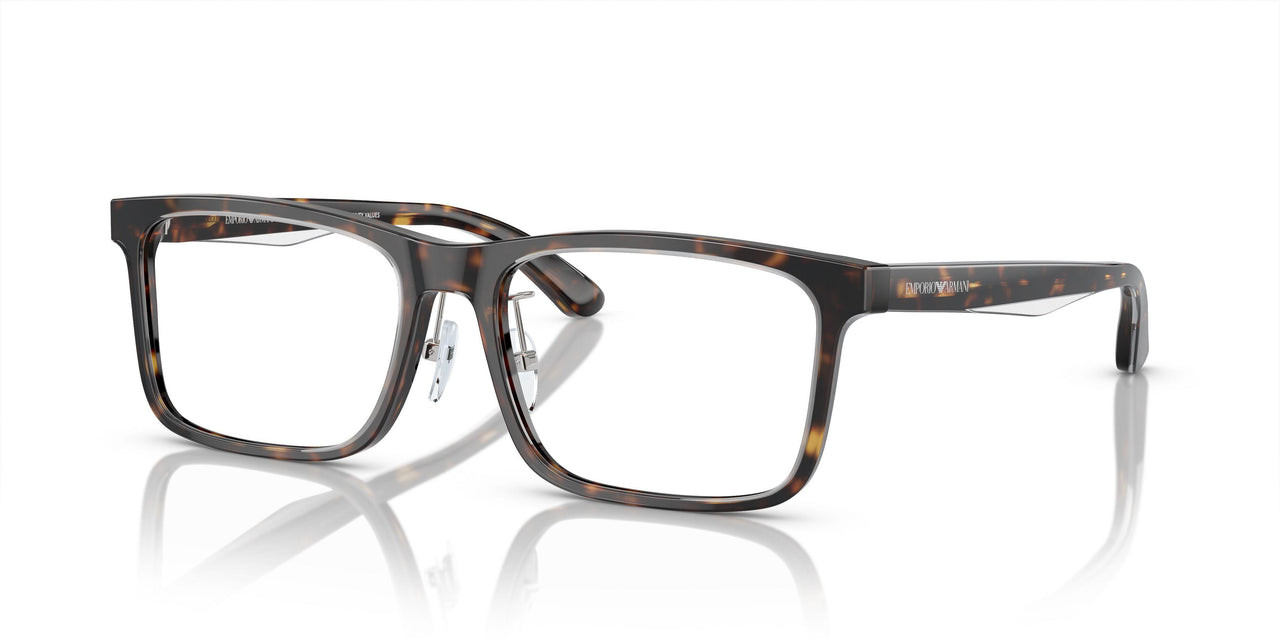 6052 - Tortoise