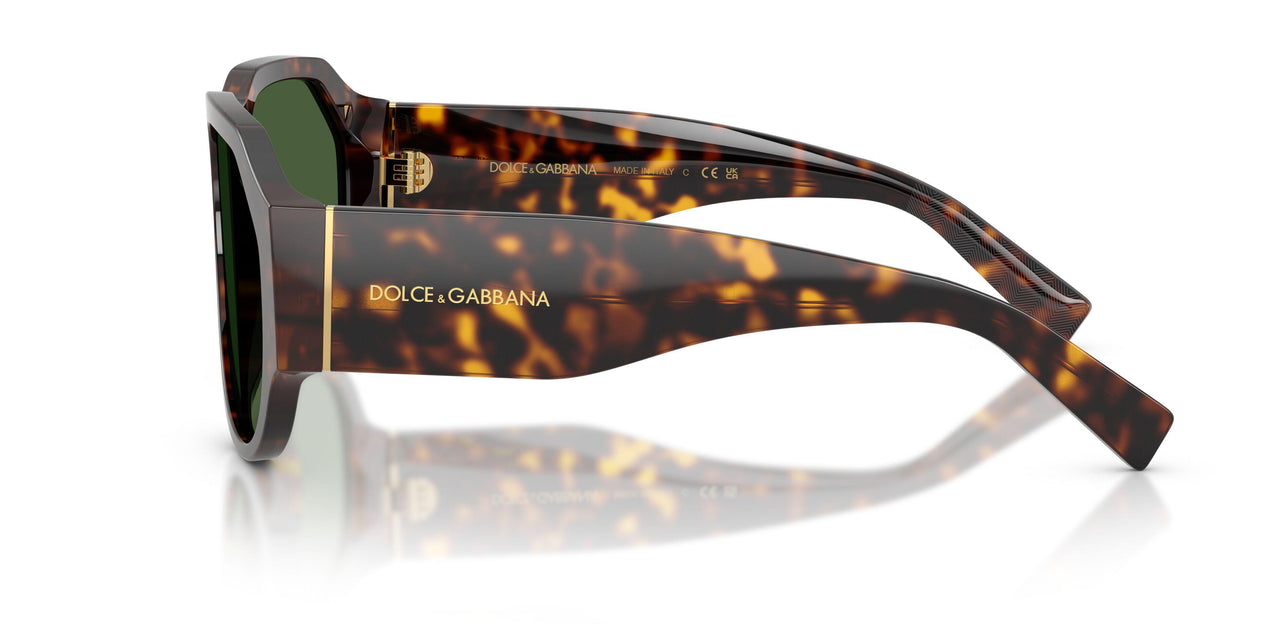 502/71 - Tortoise - Dark Green
