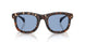 304880 - Tortoise - Solid Light Blue